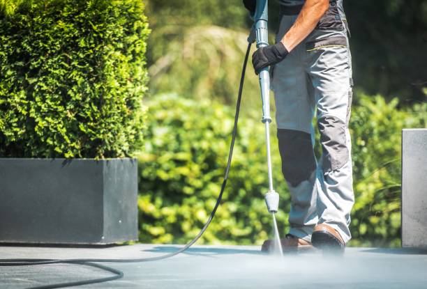Best Spring Cleaning  in Citrus City, TX
